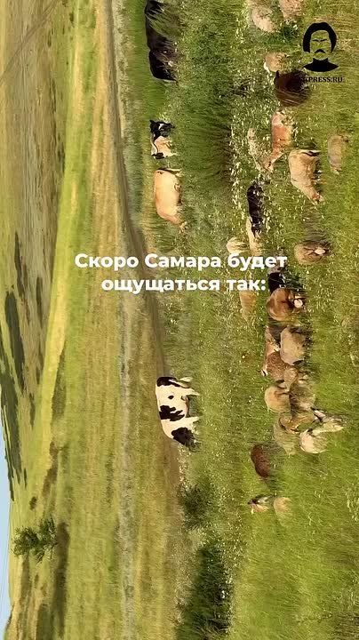 Скоро лето!. Несколько солнечных кадров напомнят о нем! Волжские пейзажи, самарский пляж и набережная