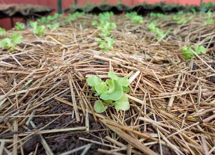 ��������� �������������: ��� �������� ���������������� ������