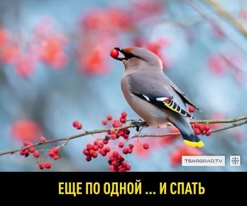 �������� ������ � �������������: ��� ������ �������� ����������?