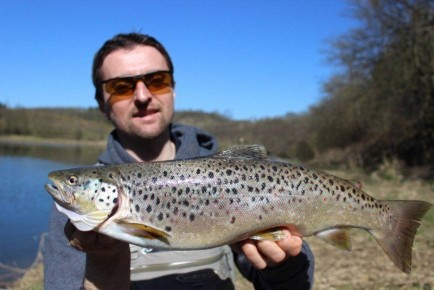 ��������� ������: ��������� ��������� ����� � ����������