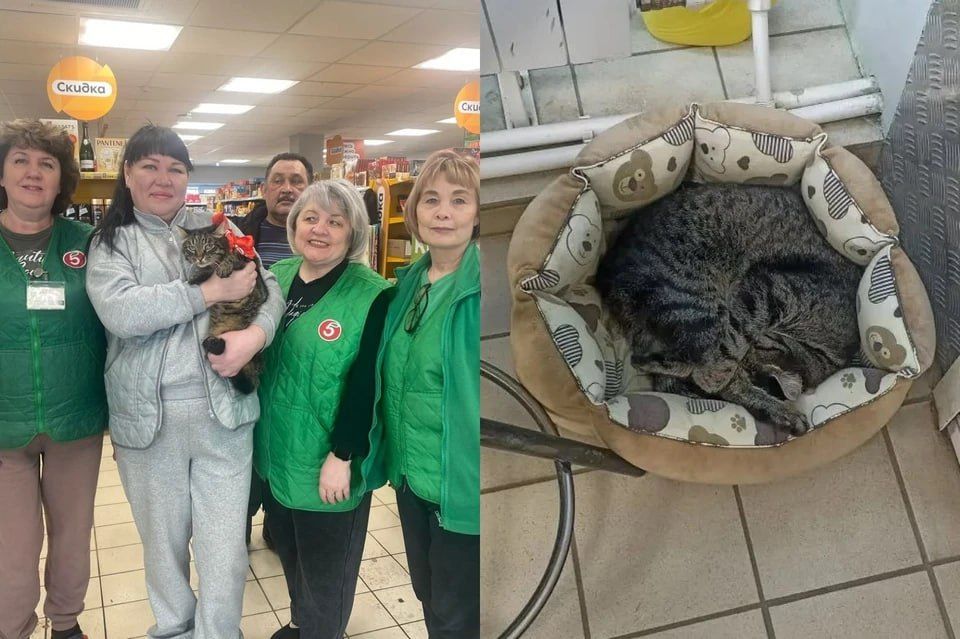 ���������� ���� ���� �������� � �������� � ������