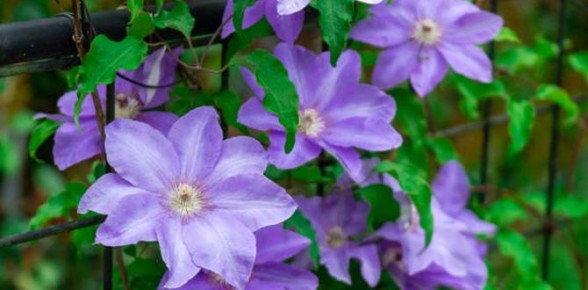 ���������� ������: 8 ���� ��� ������������ ������ ������