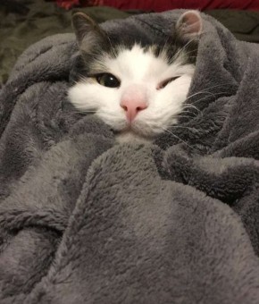 ������ �������� ����, ������!