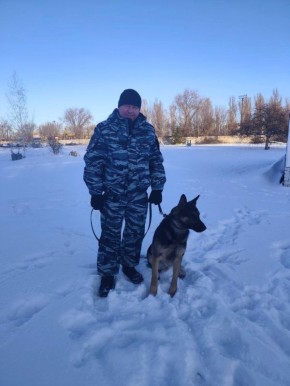 ������� ���� � ����������� ���������� ����� ��������� ������ ������ ����������, ���������-������� � ��� ������ �� ������ �������� � ��� ������ �������� ������