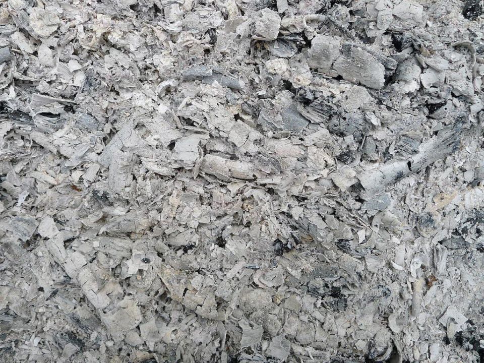 Как зола из печи может стать секретом для вашего урожая