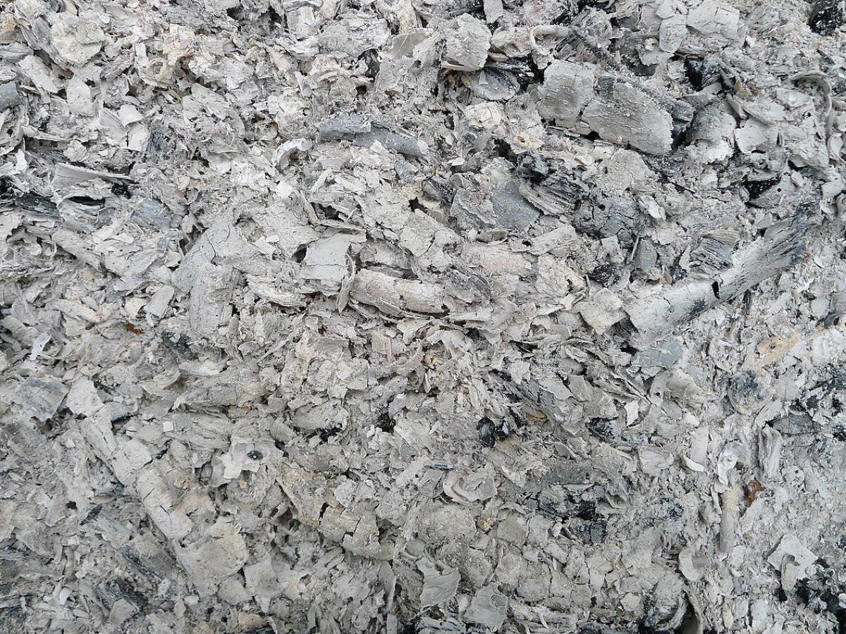 Как зола из печи может стать секретом для вашего урожая