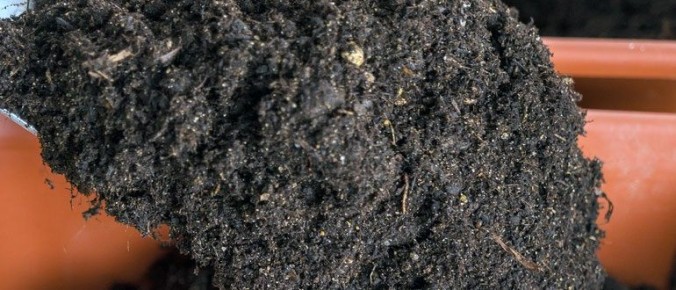 ����� ���������� ������ ��� �������: ������� ��������� �����������