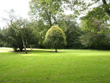 ������ �� ����� �� �������: ��� �������� ������� � ��� ��� ���������