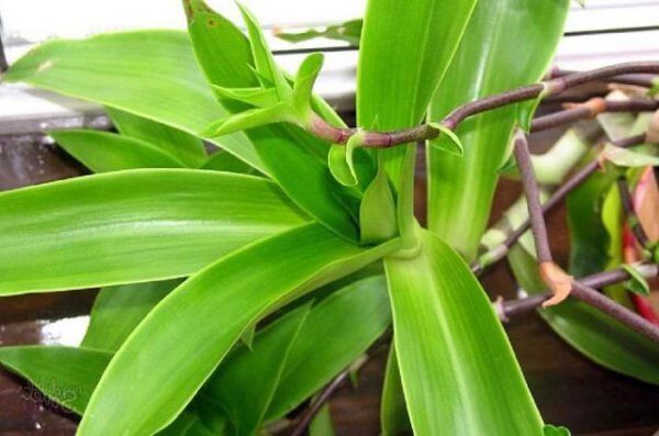 ��� ������������ ������� ��: 10 ����������� ��������