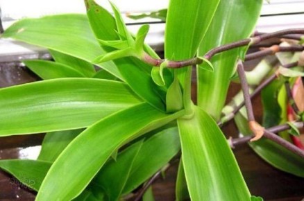 ��� ������������ ������� ��: 10 ����������� ��������