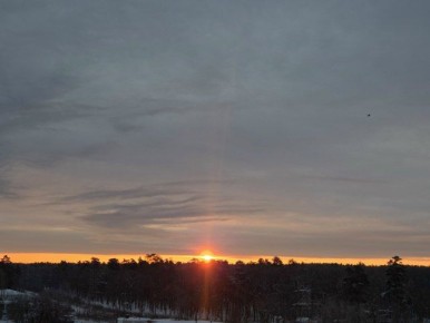 ���� �� ����� ���������. � ��������� ���� ������� ��������� ����