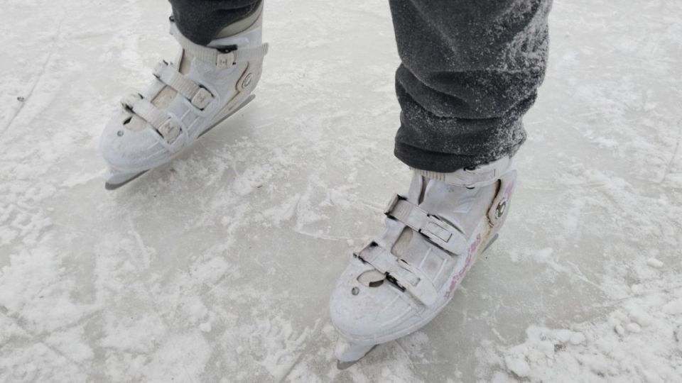 ��������� ������� ���������, ������ ���� ����� ������