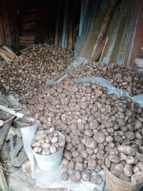 ����� �������� ��������� � ���: ��� ��������� ��� ������ �� ���������� ������