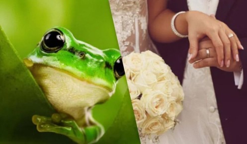 ������������� ������� � ������� �������: ��� ������� �������� ���������� �� ���������� ������