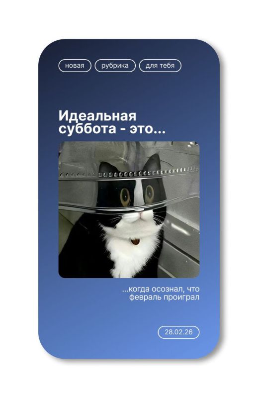 ������������ ����� �����������