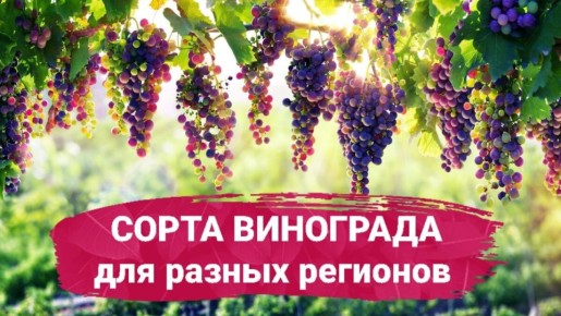 ��� ������� ��������� ����� ��������� ��� ������ �������