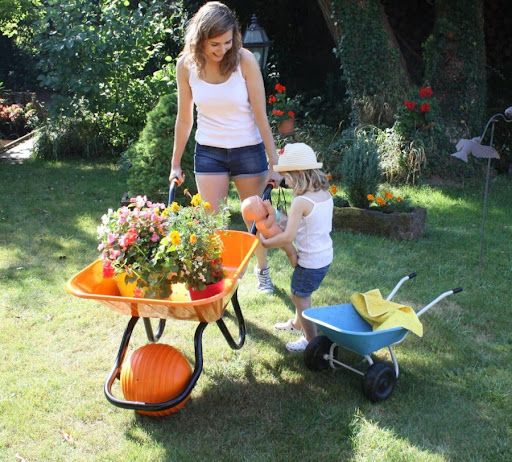 Как выбрать идеальную садовую тележку для дачи