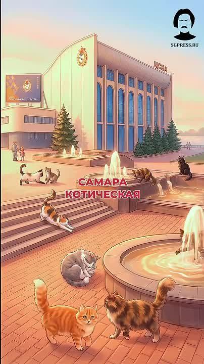 Самара котическая. 1 марта в России отмечается День кошек!