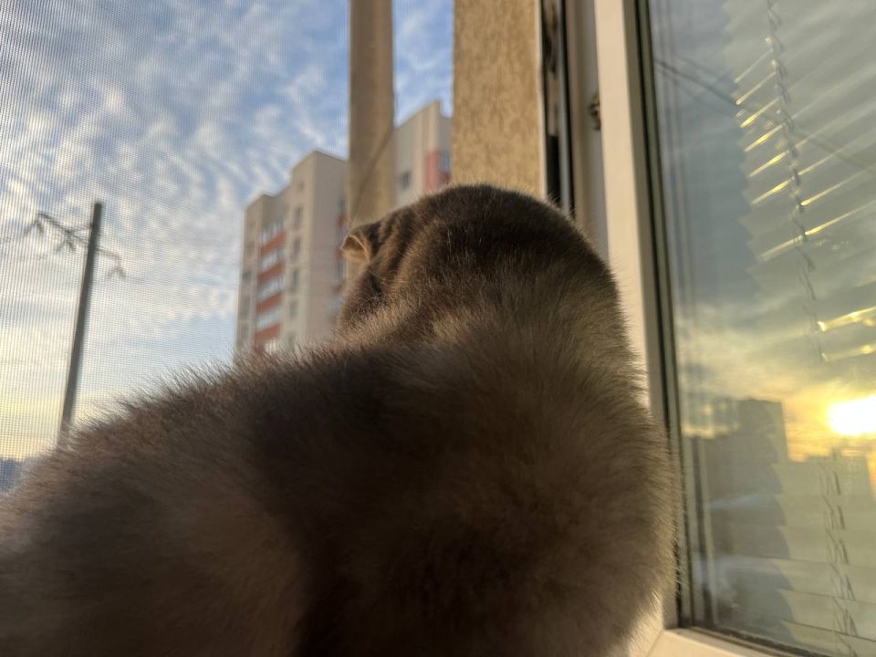 ������ �������� ����!. 1 ����� � ������� ��� �������� ����������� ������� +1...-1 �C