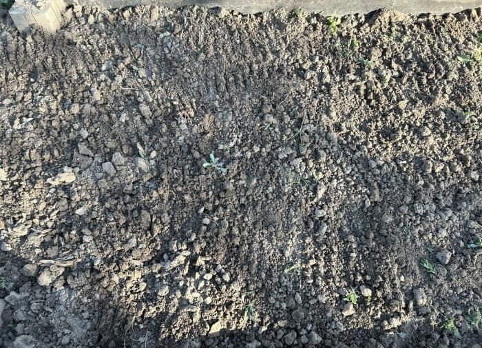 Как подготовить грядки к зиме: секреты подзимнего посева