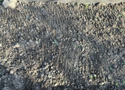 ��� ����������� ������ � ����: ������� ���������� ������