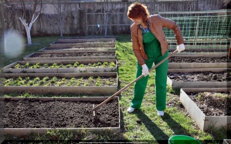 ������ � ����: �������, ��� ����� ������� �������� ��� ��������� ������