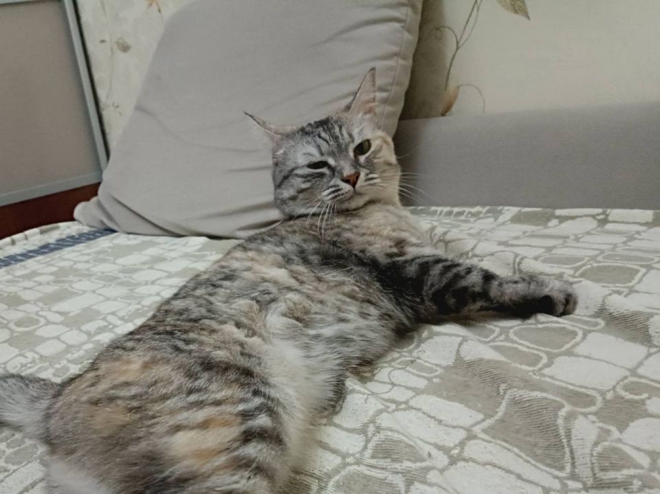 ��������� �������. ������� ������, ��� � ��� ����� ��������� � �������� ���� �����! : ������ �������� �������� � ������������ ������������ ����� �������� ��������