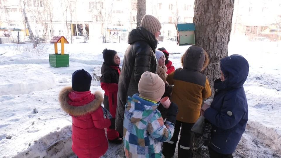 ������������ �������� ���� �172 � ������ �������������� � ������������� ����� ���������� ���� �����