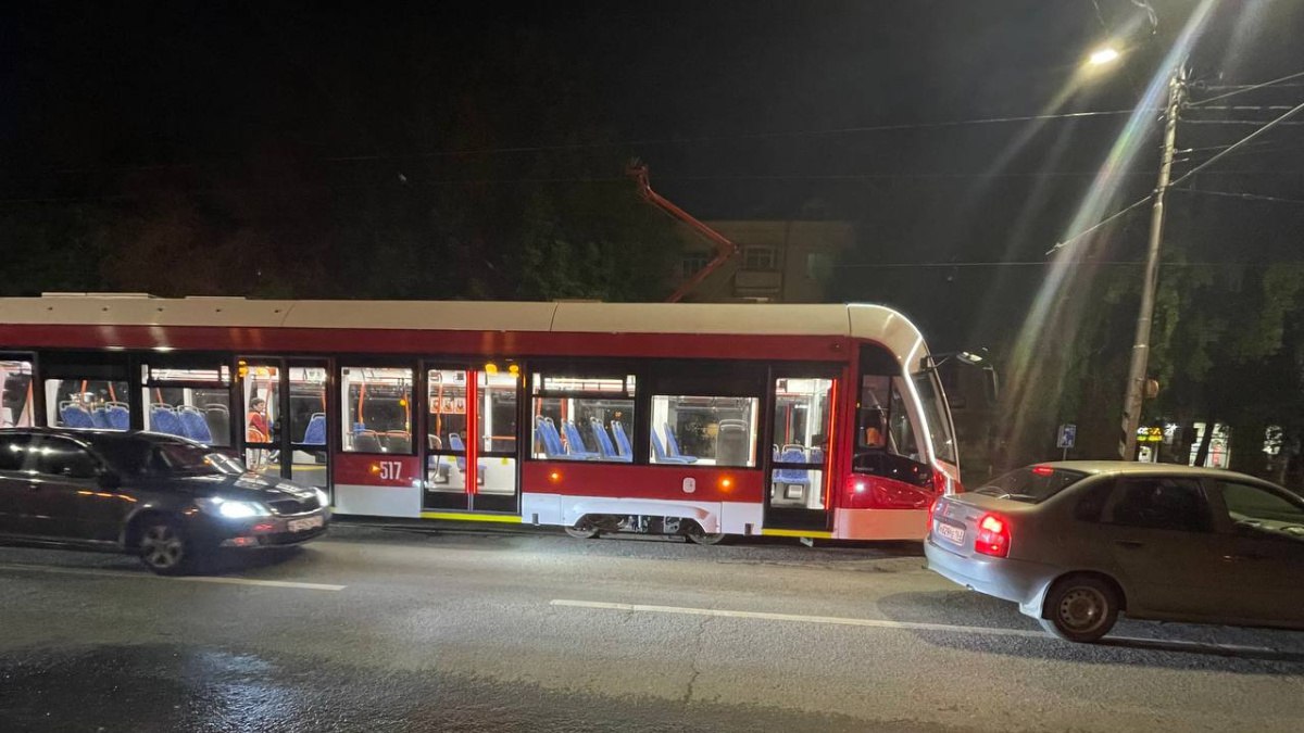 В Самаре до конца марта должно появиться ещё 20 "львят"