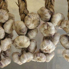 ������ ����� ������� ��� �������: ������ ������� ���������