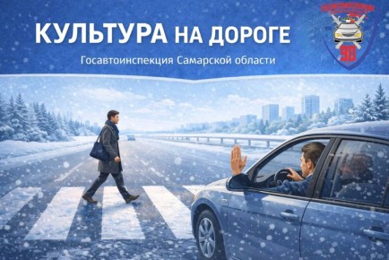 Вежливость на пешеходном переходе - норма поведения водителя