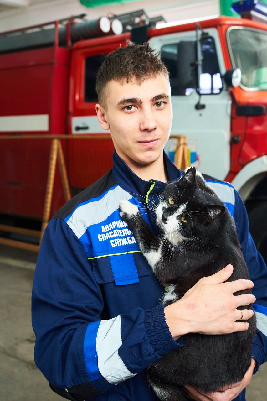 1 марта отмечался День кошек