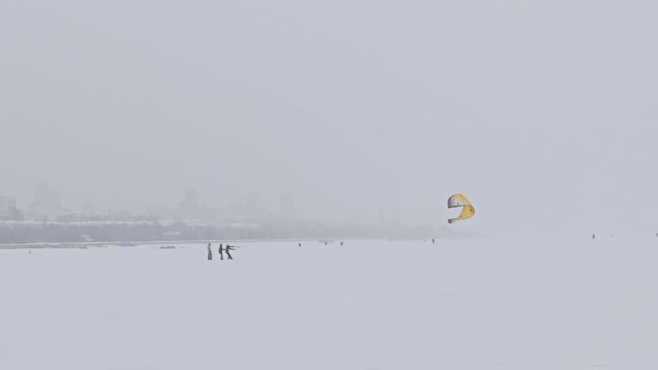 ��������, ������ ������� ���������