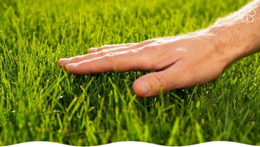 ��� ������� ��������� ����� � ������ ������: ����� � ��� ������