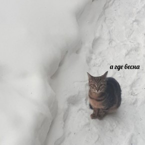 ������ ������� �������� ���������