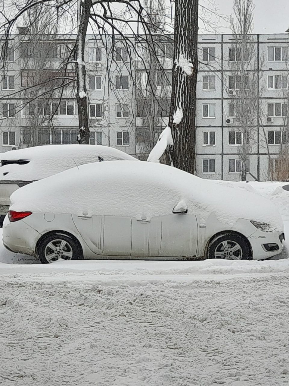 Ну что, откопались? Пора на работу!