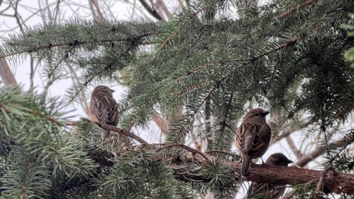 ������ ����!. 2 ����� �������� ����������� ������� -2...+3 �C ������� �������� ������, ������� ��������� � ������ ���� ����� ������ ���-��������, 7...12 �/� ���� ������ MAX l�� l�� l����