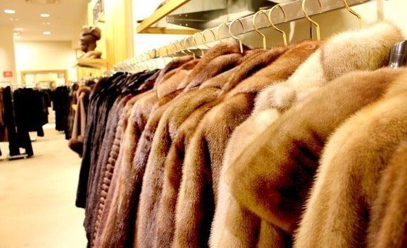 ��������� ����: ��� ������� ������ ��� ��� ������� ���������