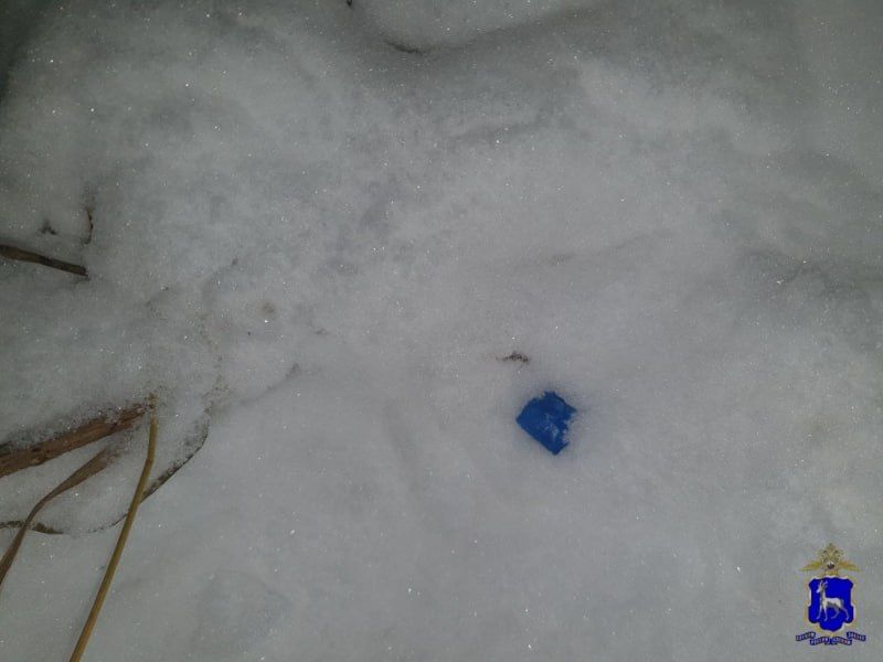 � ��������� ������� ���� ���������� ���������, ����������� ������������ ��� ������� ����� ������������� ������� � ������� �������