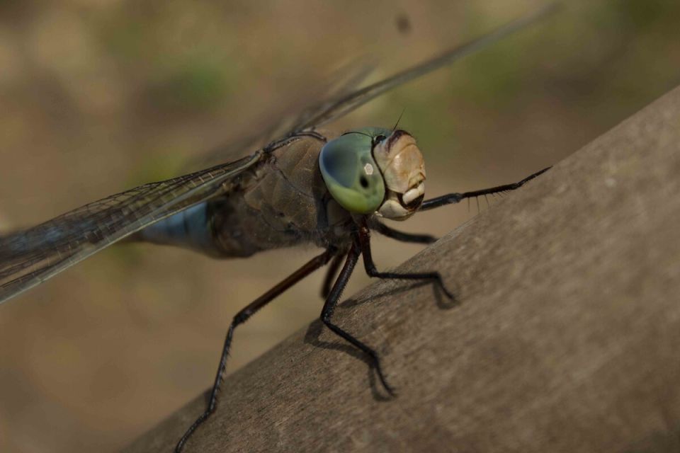 ����� ���� �� ����: �� ����� � ����������