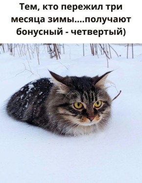 ������ ����, ������!. ��� ������ ���� �����, � ����� �� ����� ��������� � ��� �����������