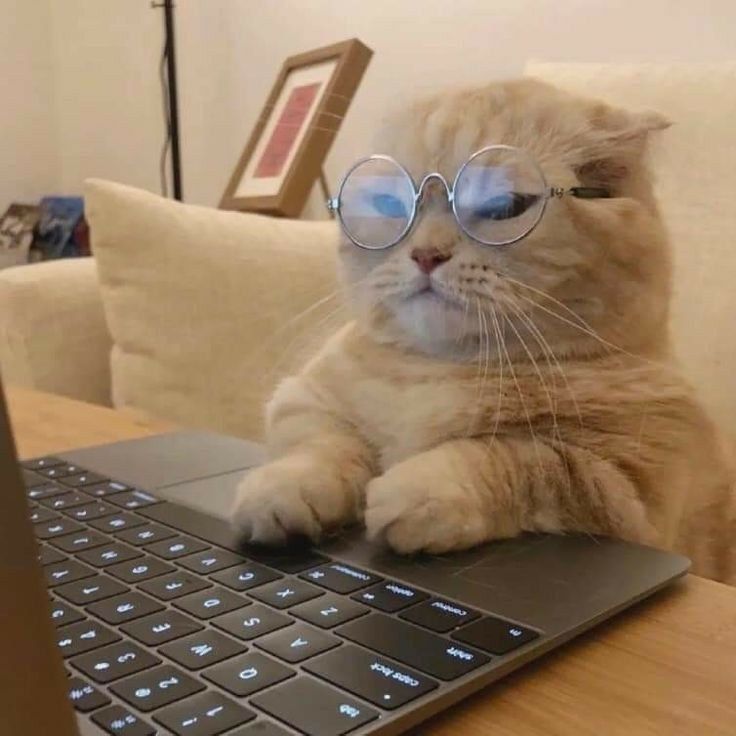 ��������������� ����� ������� ������ ������� �� �������