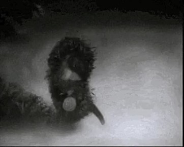 ����� �� ��������� �������