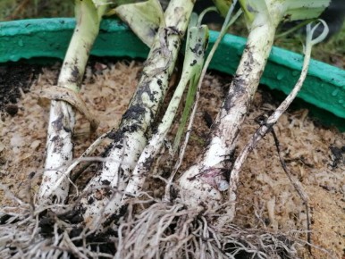 ���-�����: ������� ��������� ����������� � ����� ������