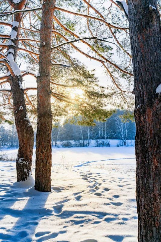 ������ ����, ������!. �������� ���������� � �������� ��� ���� �� �����