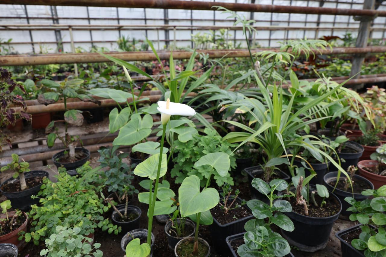 Фото: журналистки самарских СМИ посетили городские теплицы накануне 8 марта Фото: журналистки самарских СМИ посетили городские теплицы накануне 8 марта