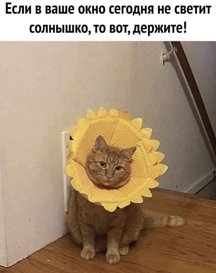 Всем доброе утро!. Прогноз у нас все еще зимний