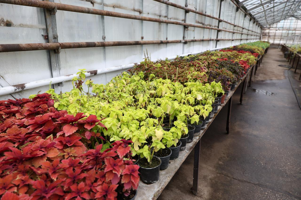 Фото: журналистки самарских СМИ посетили городские теплицы накануне 8 марта Фото: журналистки самарских СМИ посетили городские теплицы накануне 8 марта