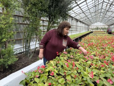 � ���� � ������ ������� 1,4 �������� ������-��������