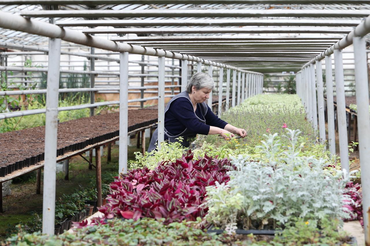 Фото: журналистки самарских СМИ посетили городские теплицы накануне 8 марта Фото: журналистки самарских СМИ посетили городские теплицы накануне 8 марта